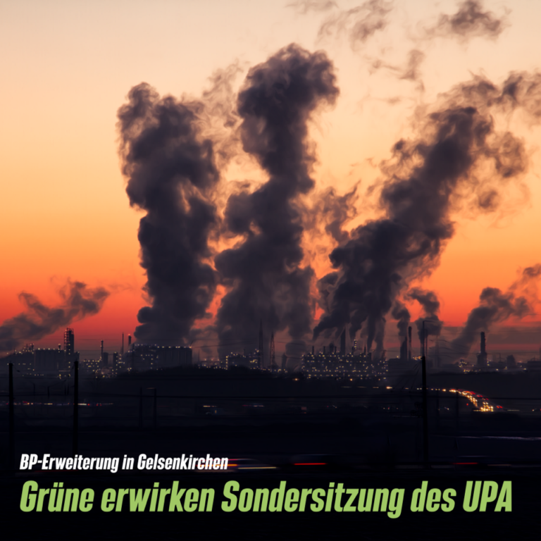 BP-Erweiterung: GRÜNE erwirken Sondersitzung des Umwelt- und Planungsausschusses